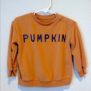 Little Co. by Lauren Conrad Toddler pullover